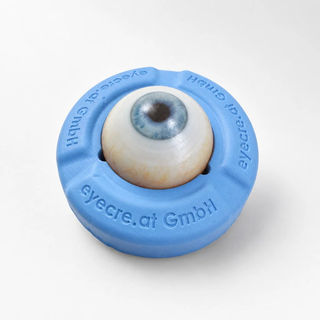 Eye 4 Demonstration and IVT - Pack of 6