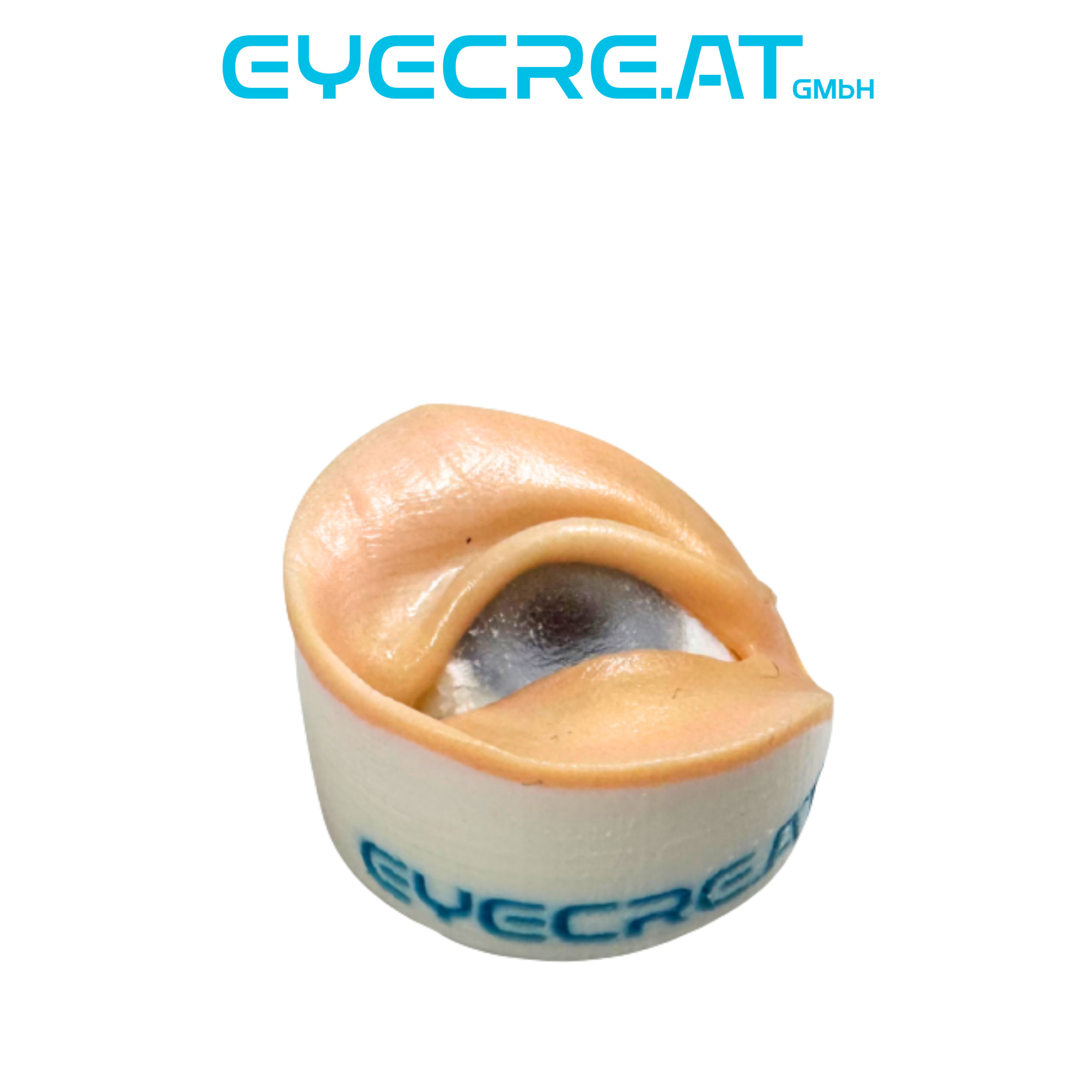 Eye 4 Pediatric IVT