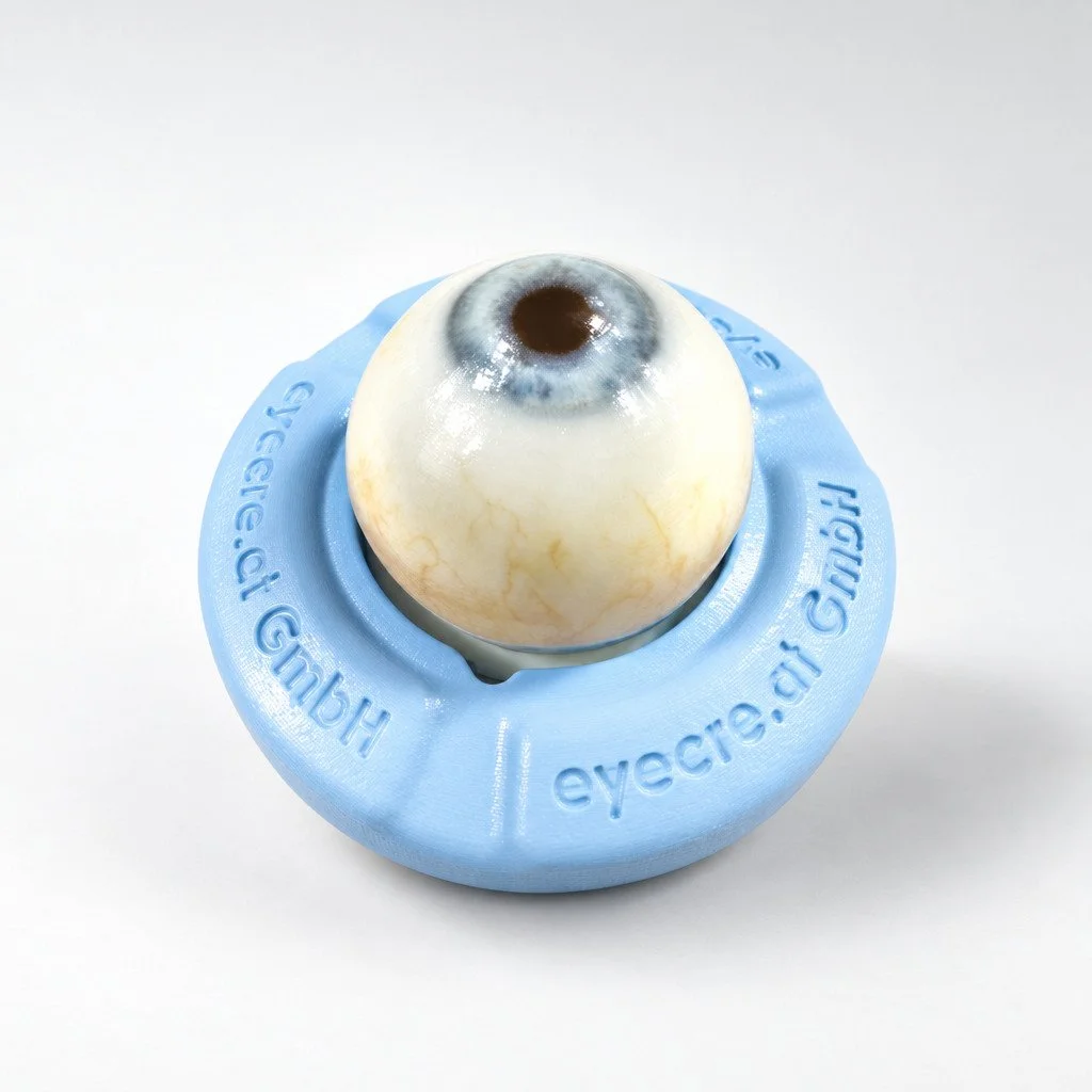 Eye 4 Dynamic Demonstration - Pack of 6