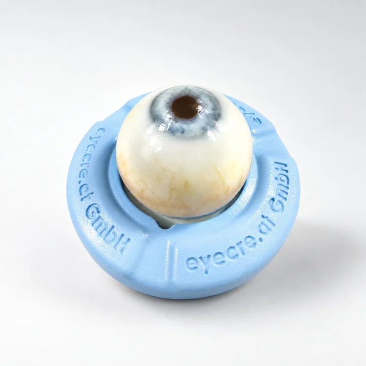 Eye 4 Dynamic Demonstration