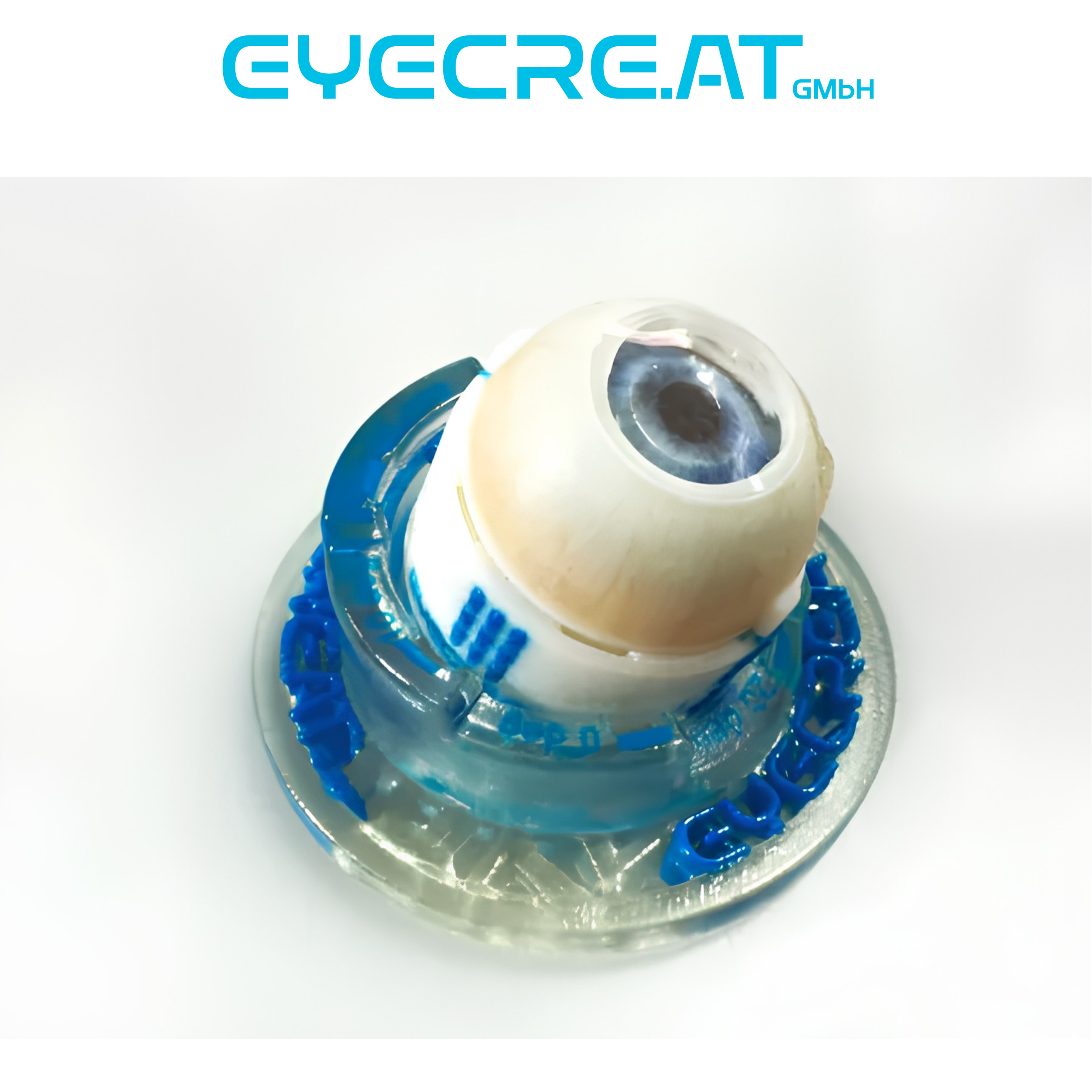 retainer (1).png