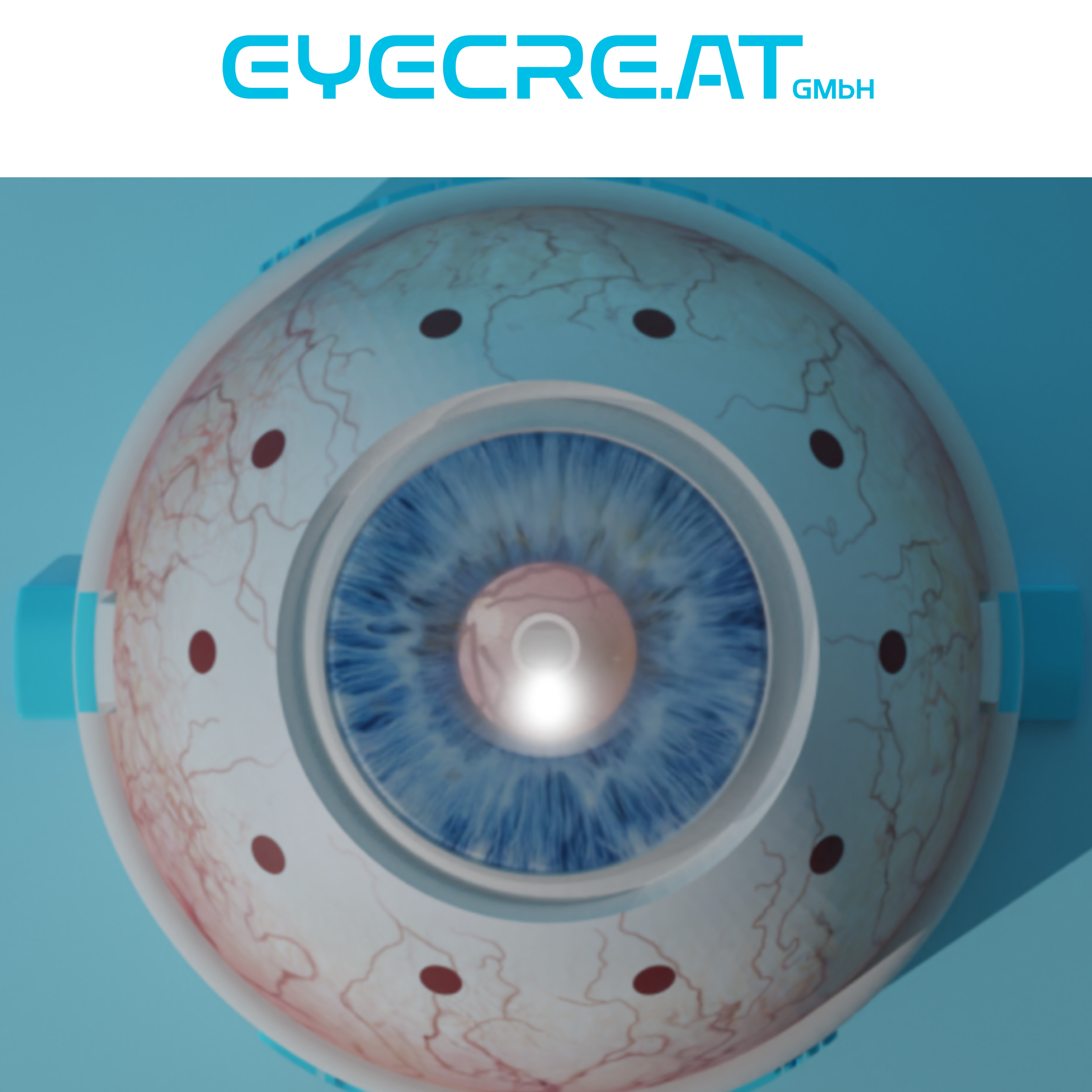 eye4vitrec.png