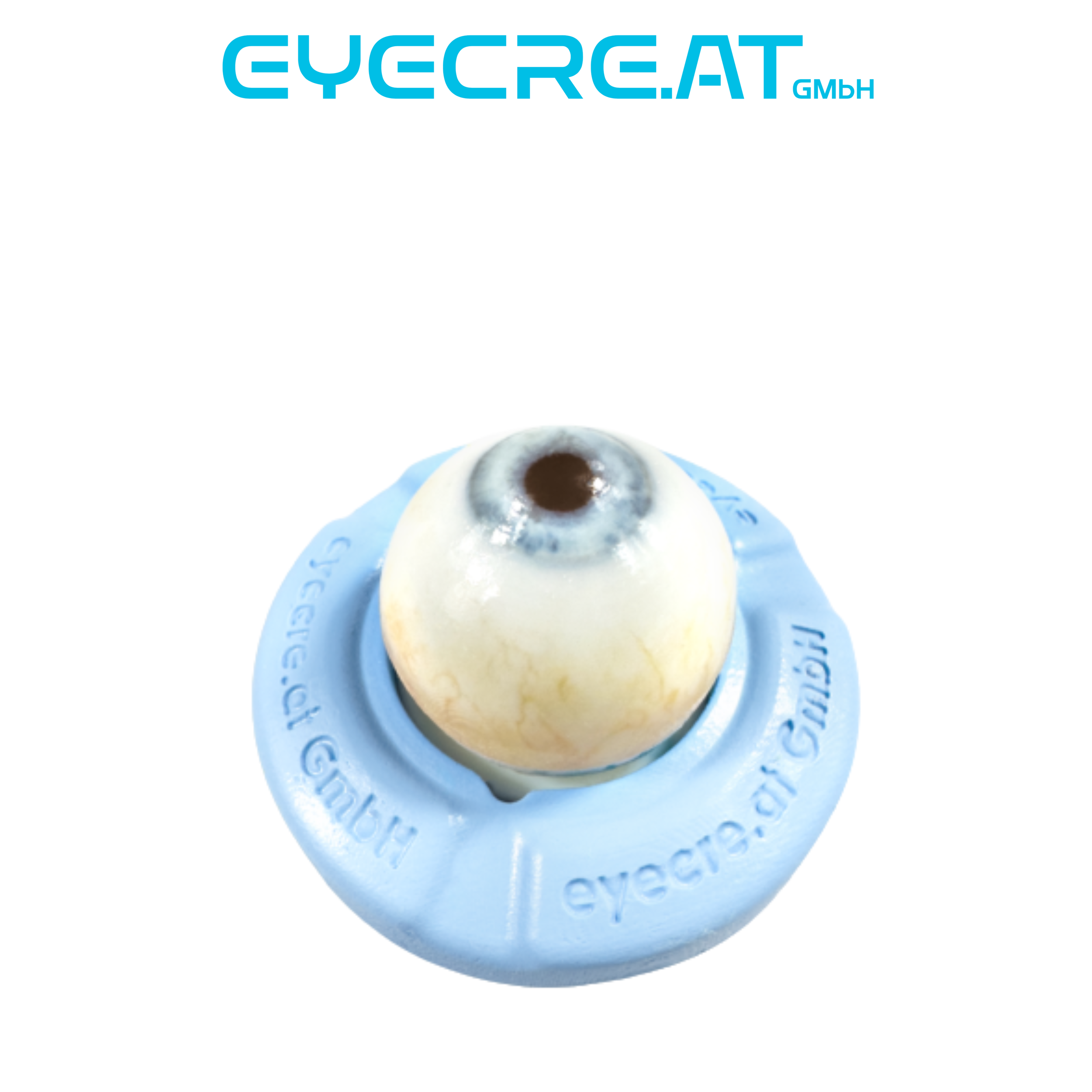 Eye 4 Dynamic Demonstration