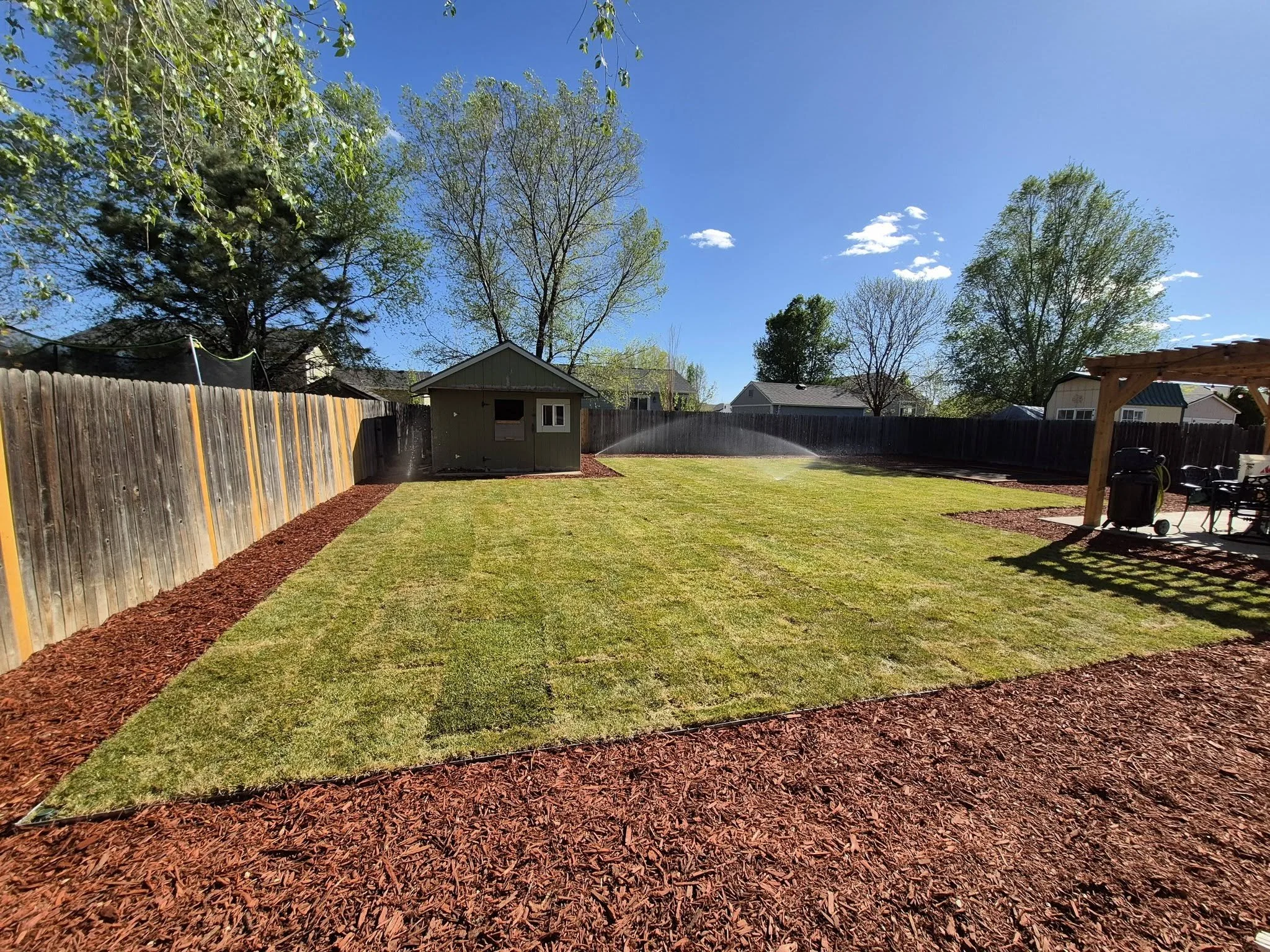 A backyard with a well-maintained lawn, a small shed, a tree with budding leaves, and a wooden pergola, with a clear blue sky and a few scattered clouds.