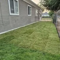 Lawn with freshly cut grass beside a house with gray siding and white-framed windows.