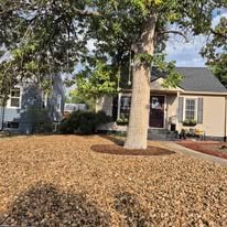 Yard with a large tree, house, and a bed of mulch or fallen leaves covering the ground.