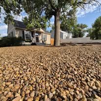 View of a yard with a gravel surface, a large tree, and houses in the background under a blue sky.