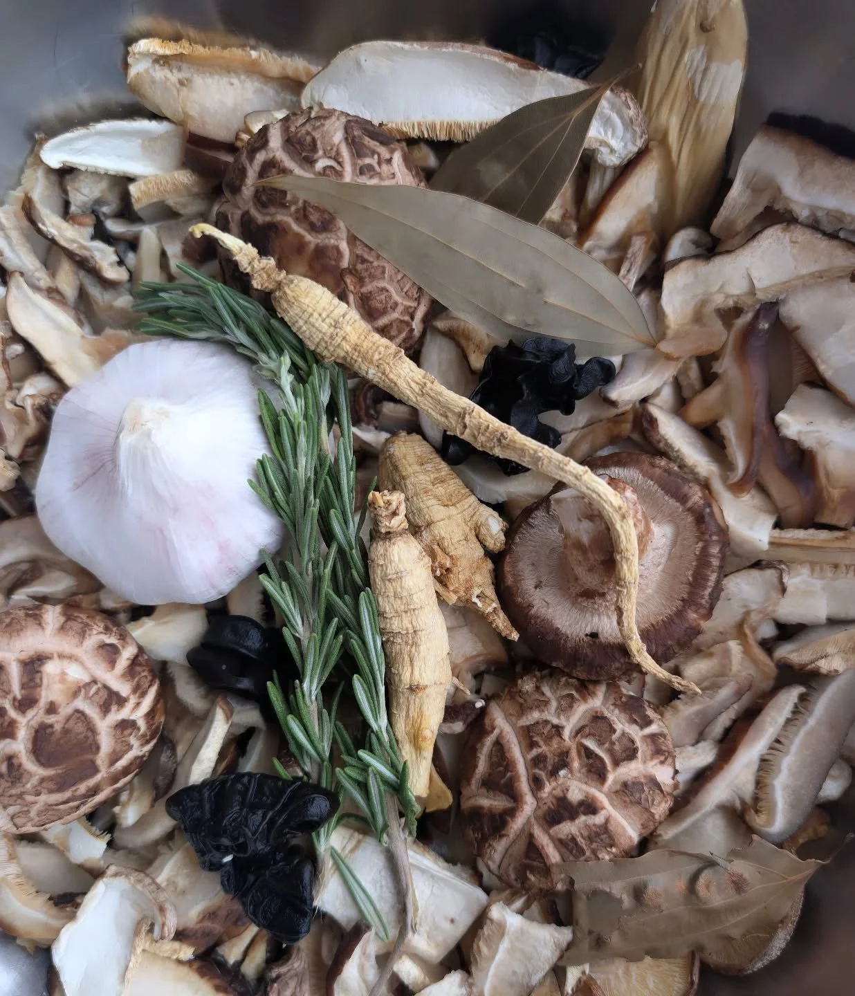 🍄 ROOTED is in development and coming together beautifully.

A functional mushroom broth featuring specialty mushrooms, ginseng root, garlic, and herbs, slowly simmered for depth, nourishment, and full extraction.

Why ginseng❔❓

Because I wanted RO