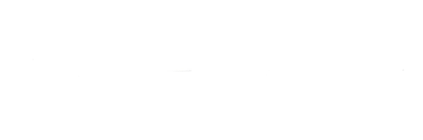 Wilderly Bride Logo