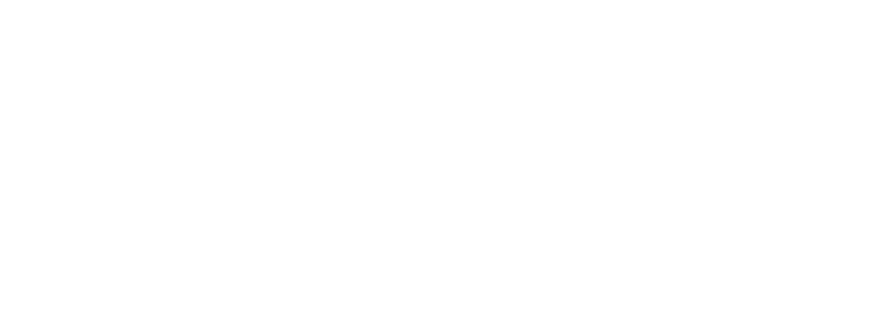 Madison James Logo