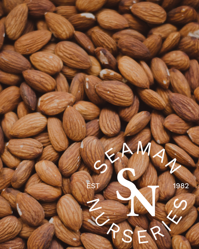 seaman nurseries.png