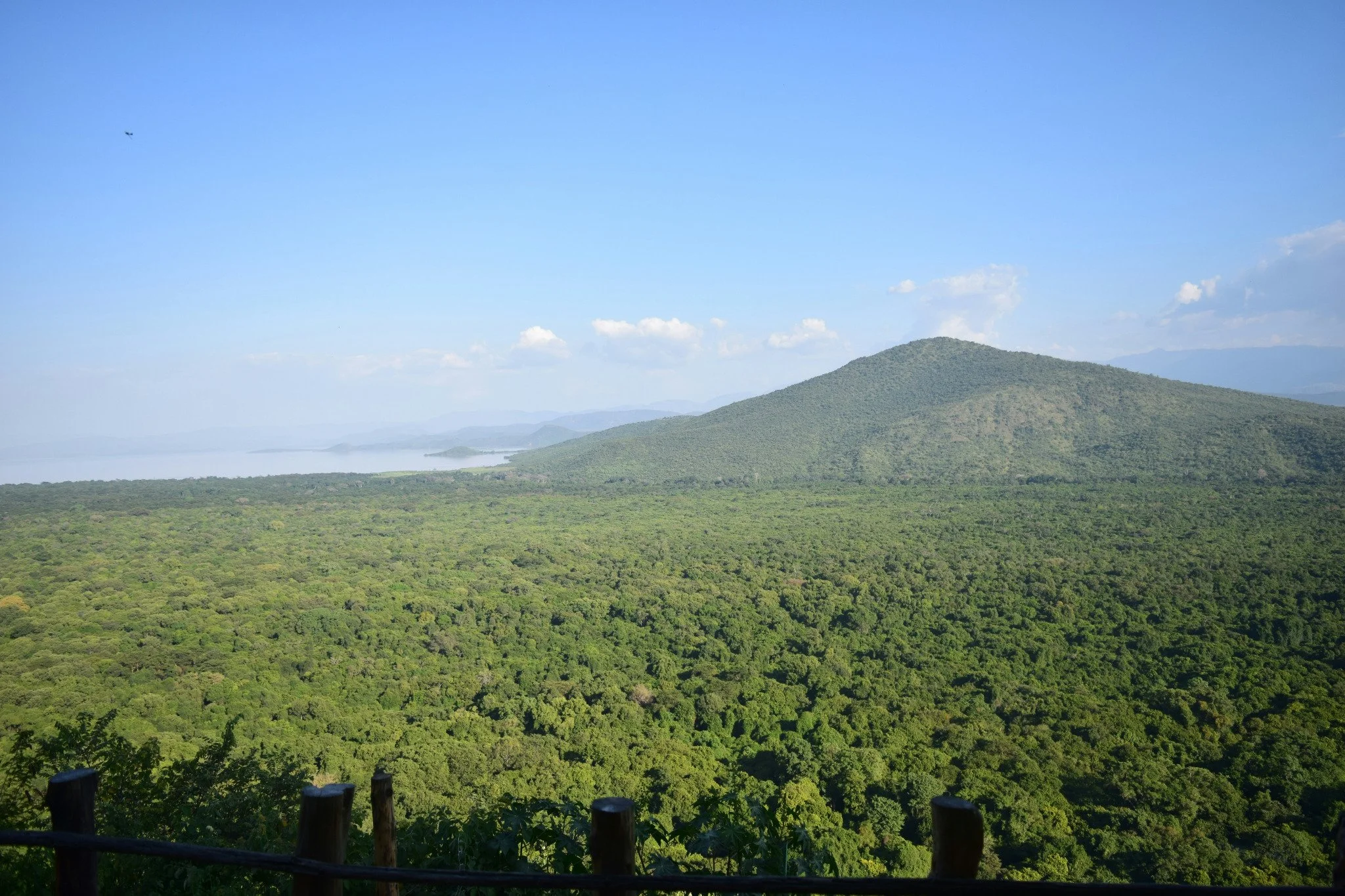 12_Green_Landscape.jpg