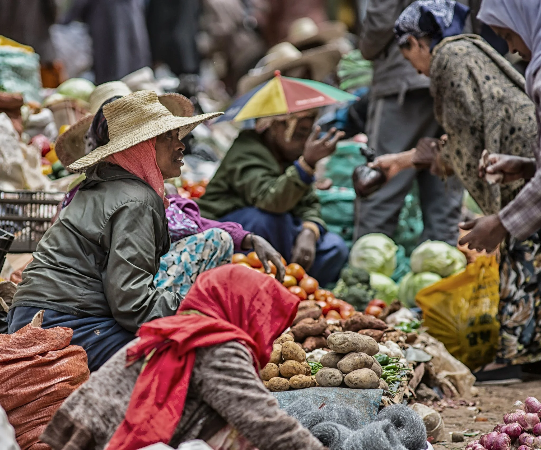 08_Local_Market.jpg