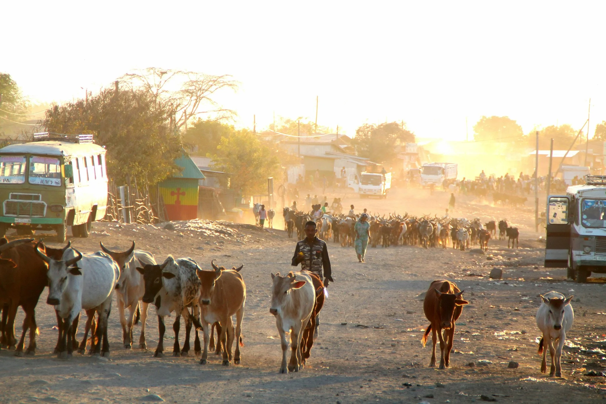 10_Livestock_Market.jpg