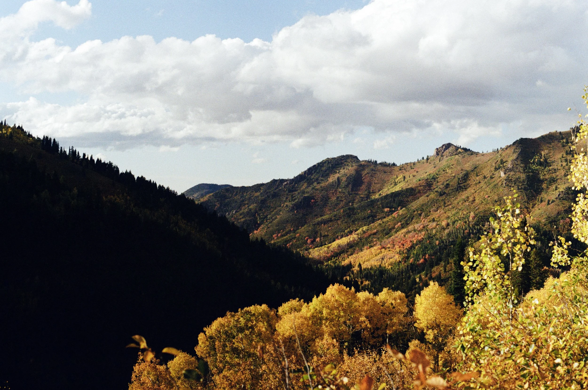 Scenic view of mountain range with green and autumn-colored trees under a cloudy sky.