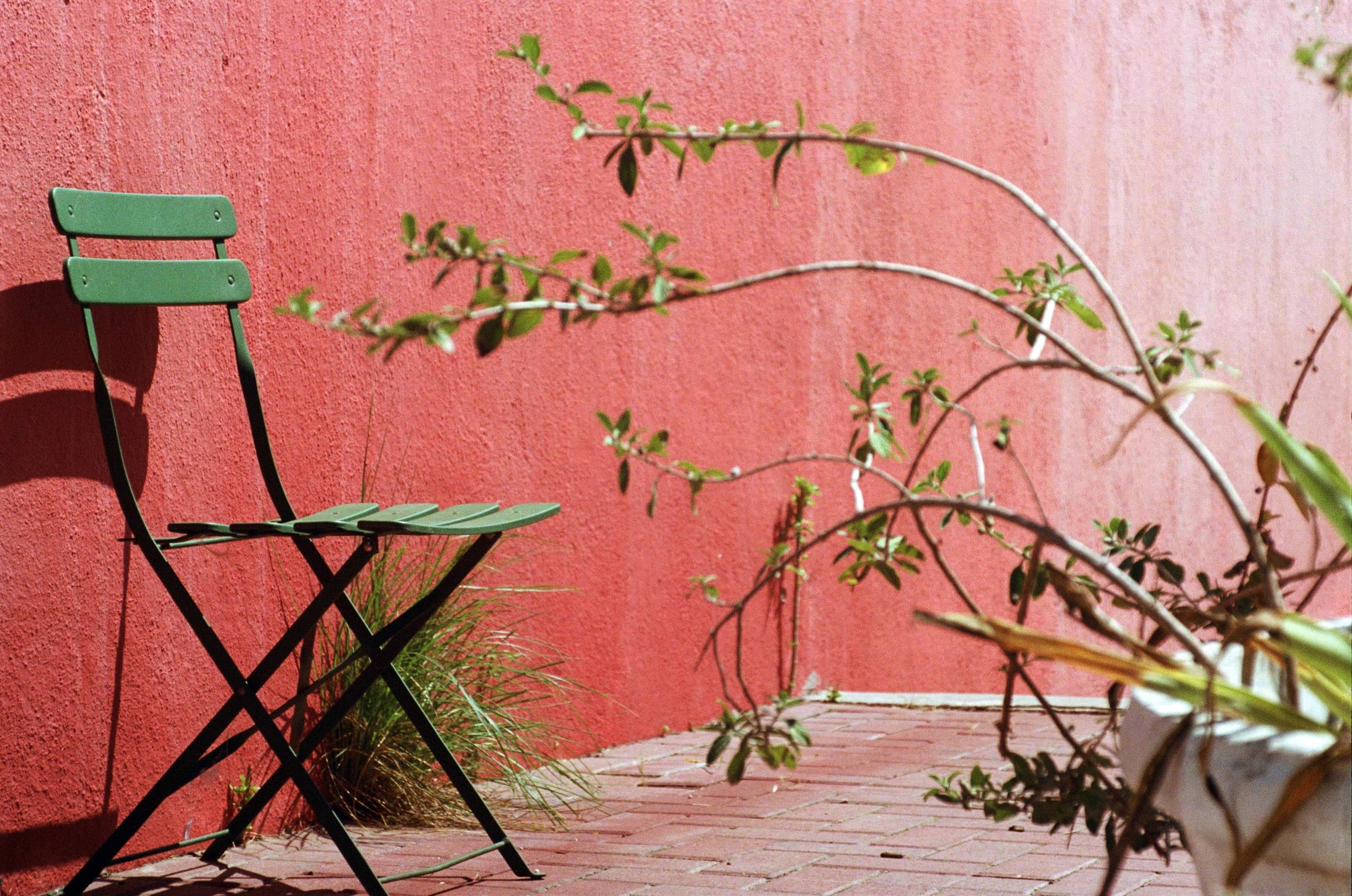 A small green metal chair is positioned against a pink textured wall, with a vine hanging across in the foreground.