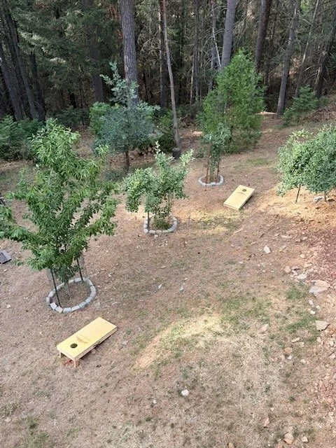 Aerial view of both cornhole boards set up and in play on the wooded acre at Casa Montaña, Placerville, California.