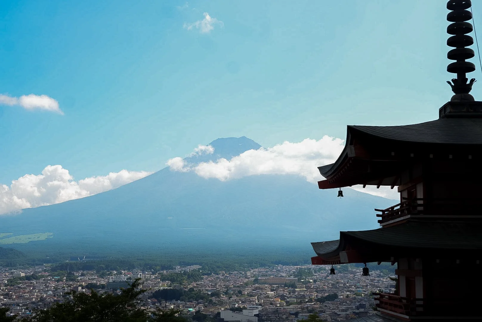 DSC05137.jpg