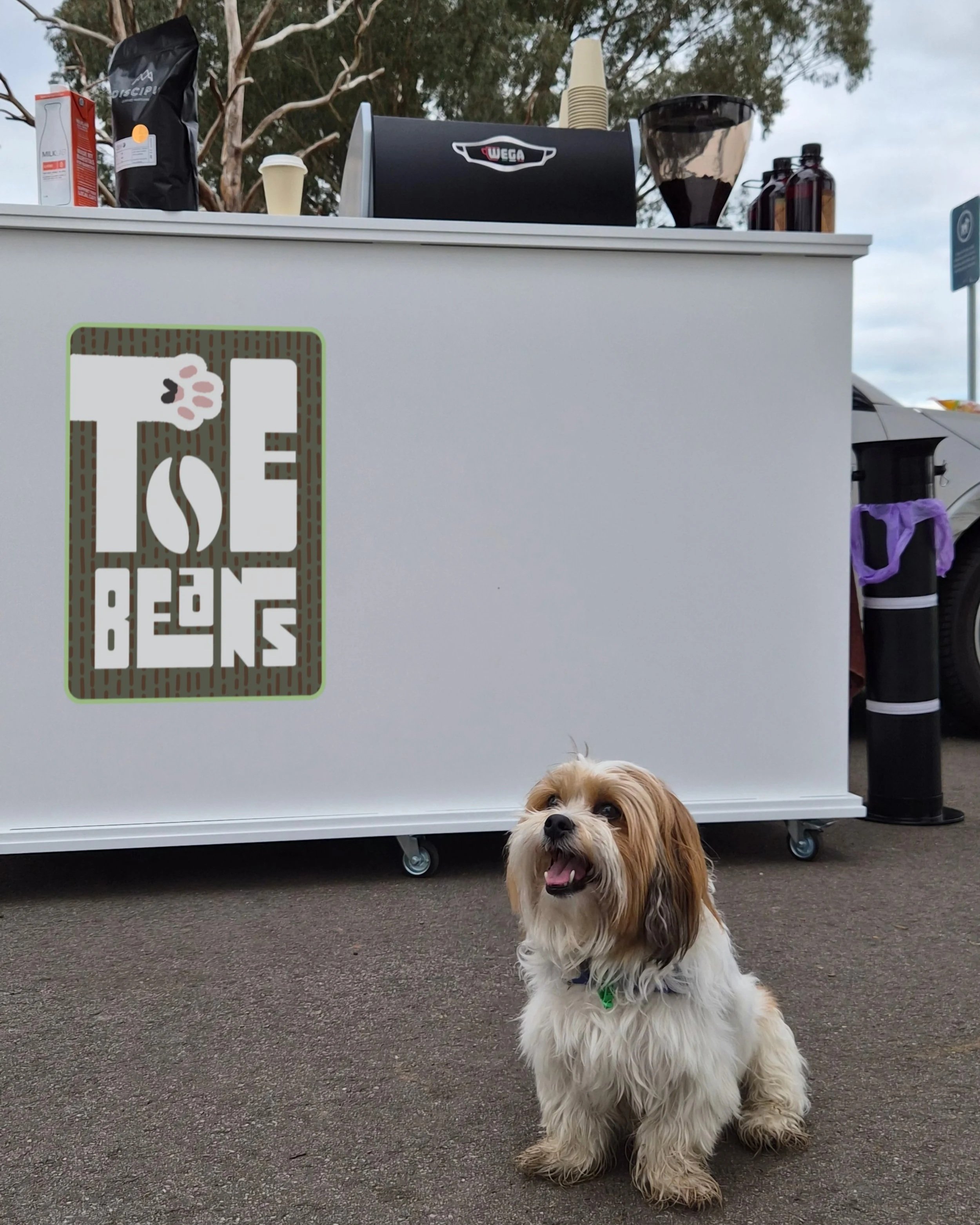 A small, fluffy dog with long ears and a fluffy tail sitting on a paved area in front of a white food truck or stand. The dog is smiling with its tongue out, wearing a green collar. The food truck or stand has a sign with a paw print and the words 'P