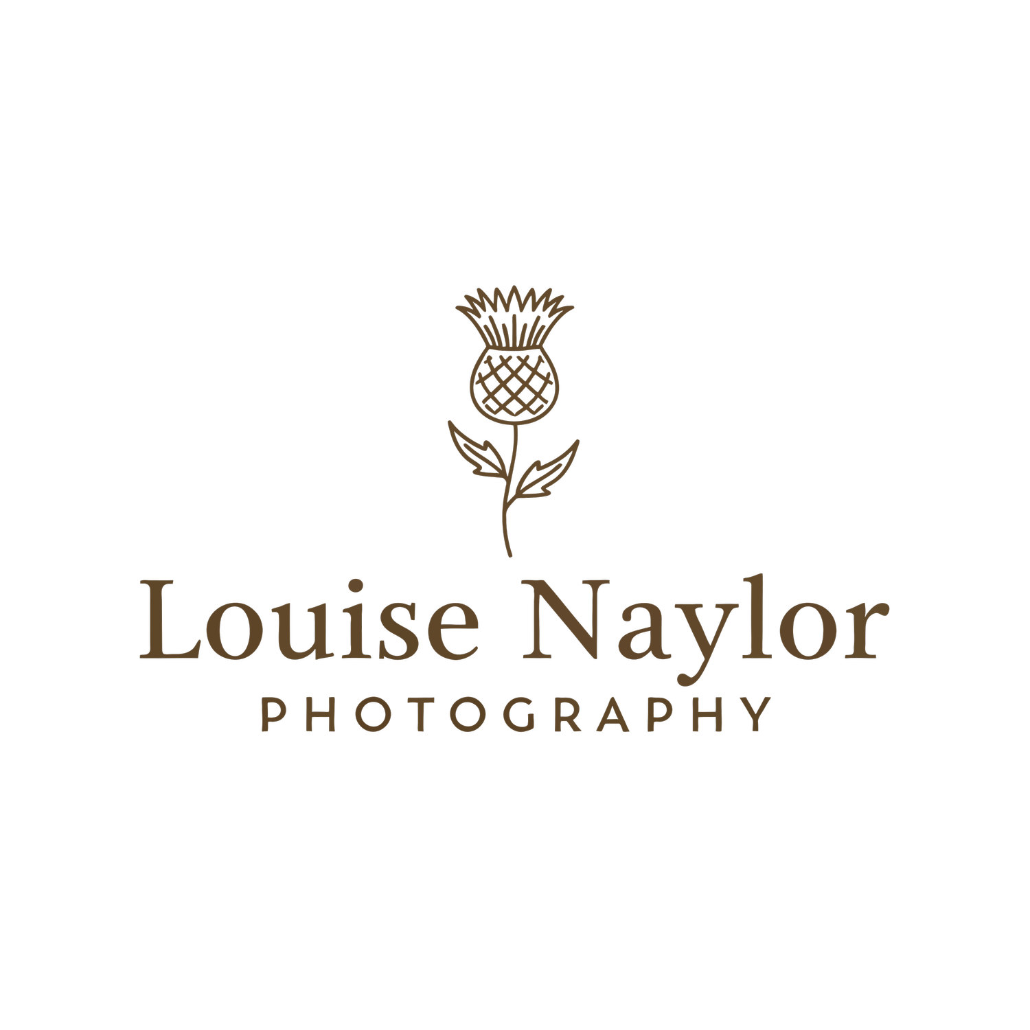 Louise's Portfolio