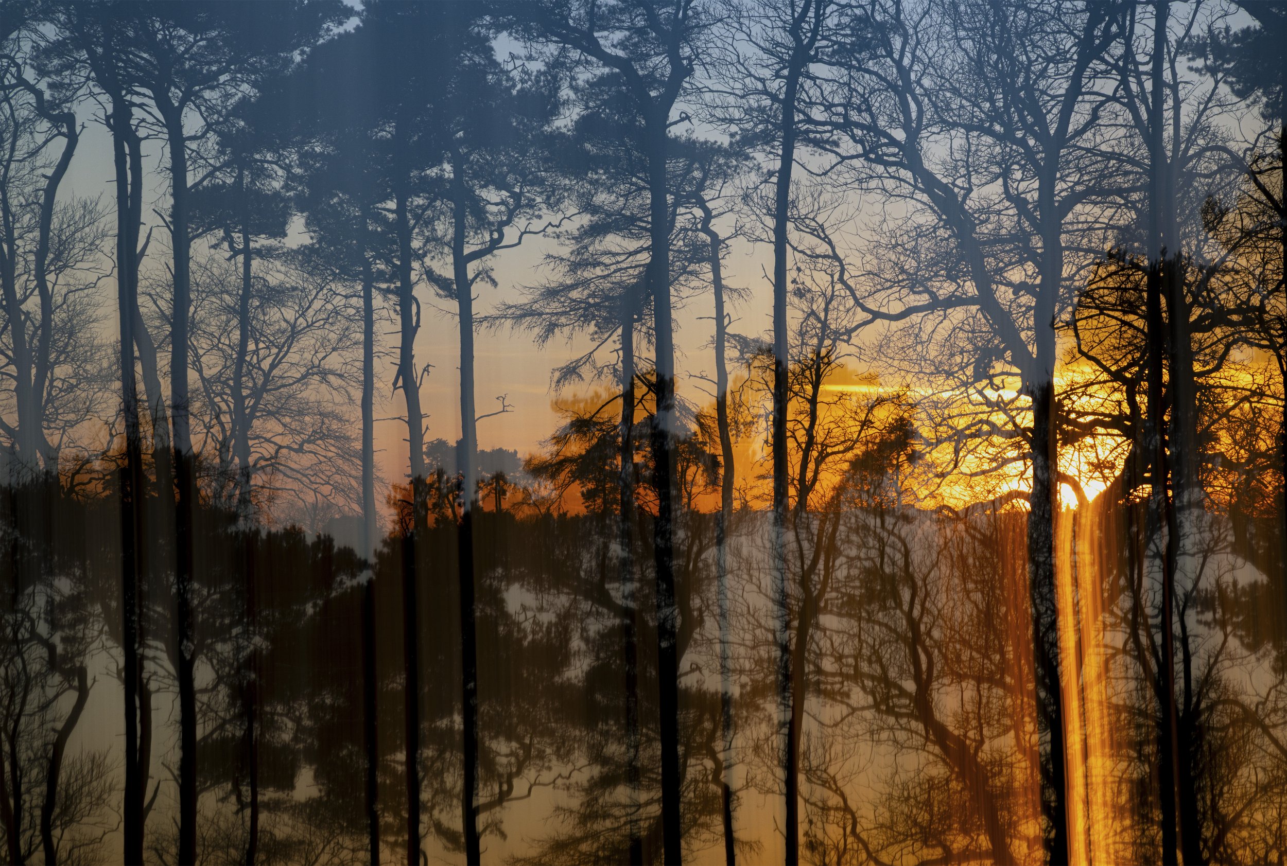 Surreal Sunset