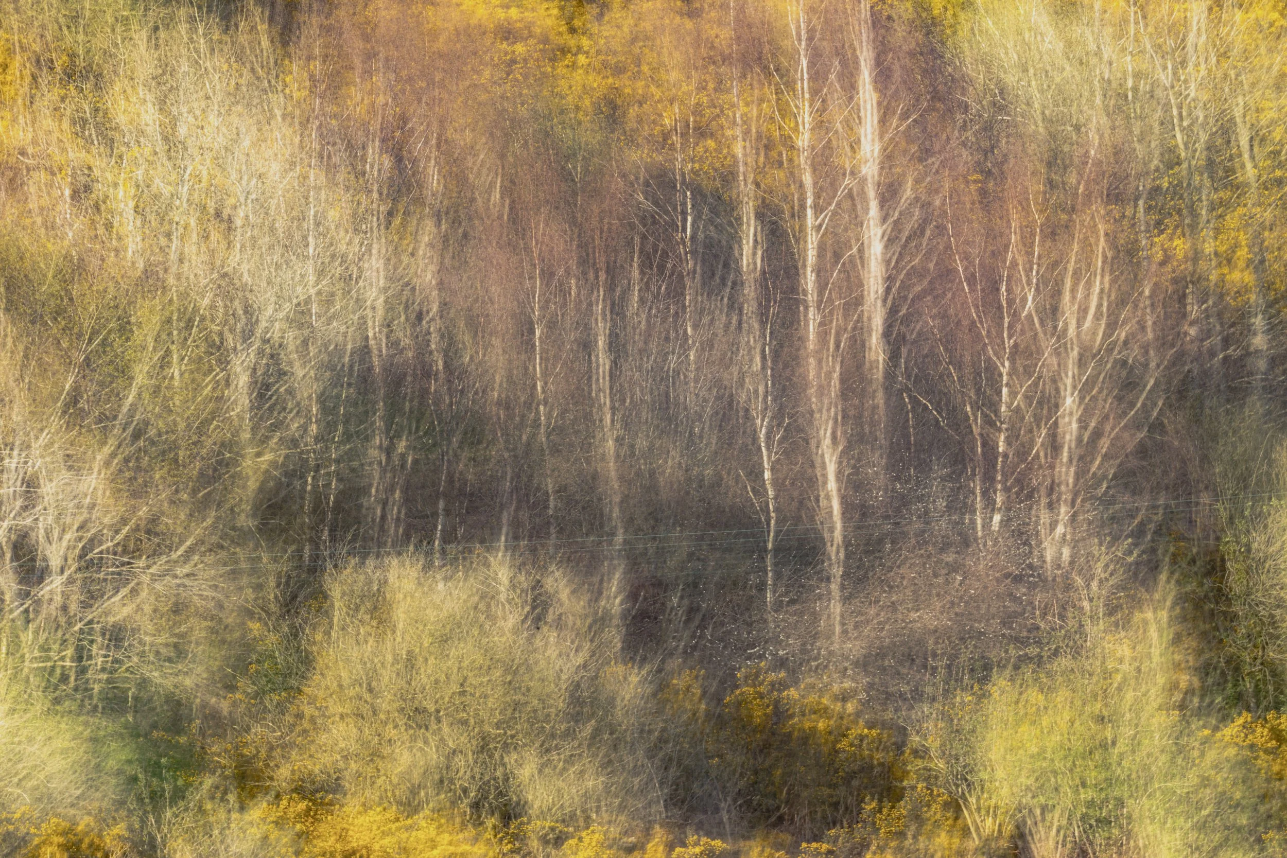 Intentional Camera Movement images