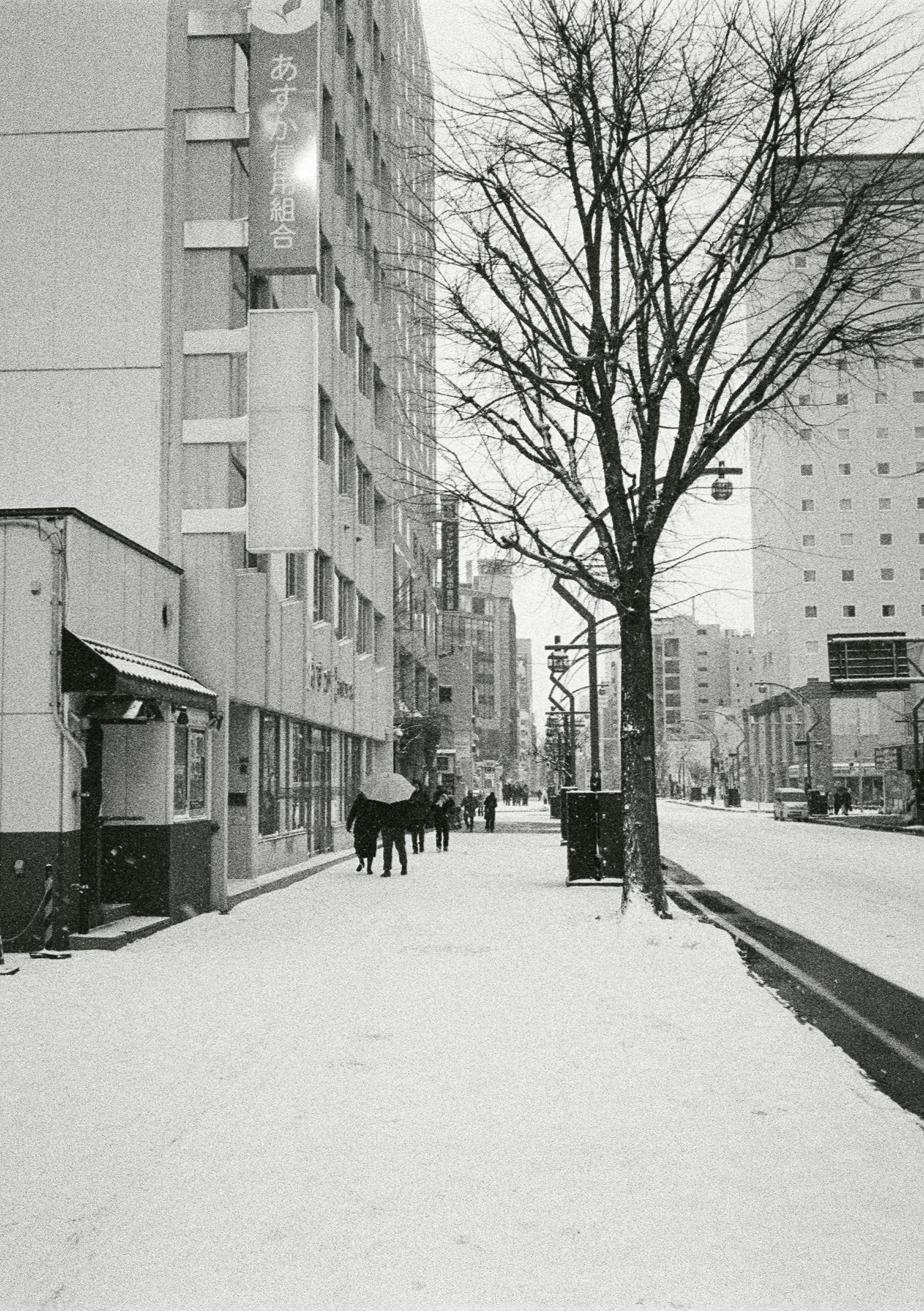 A snowy city street scene with a leafless tree, tall buildings, and people walking with umbrellas.
