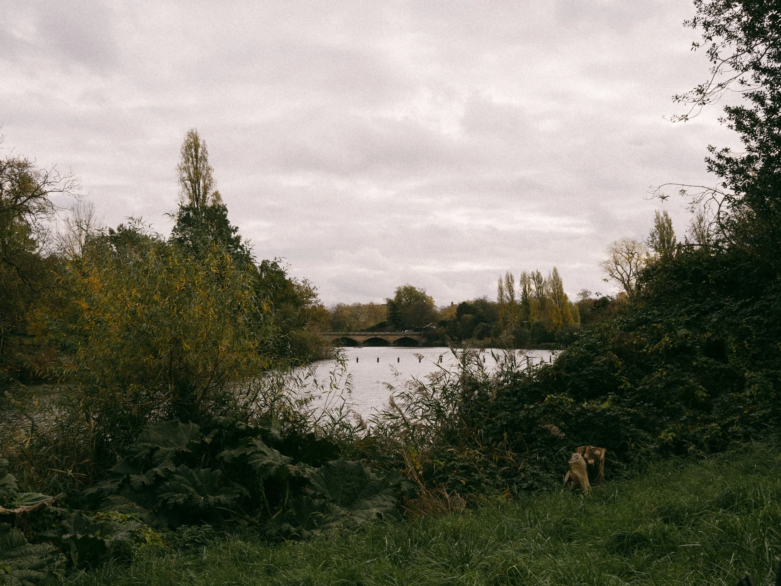 2022_London-1.jpg
