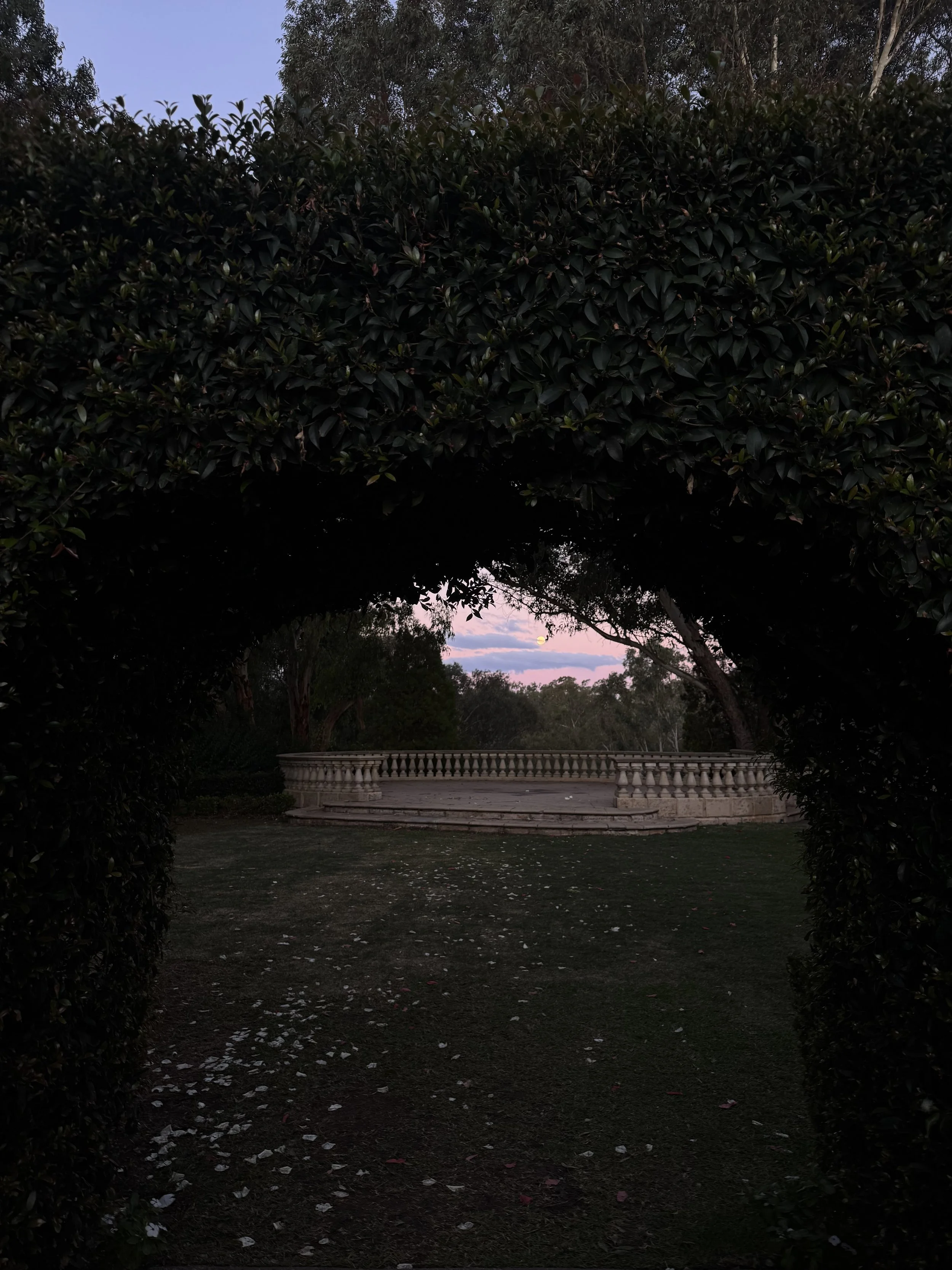 IMG_0622.jpeg