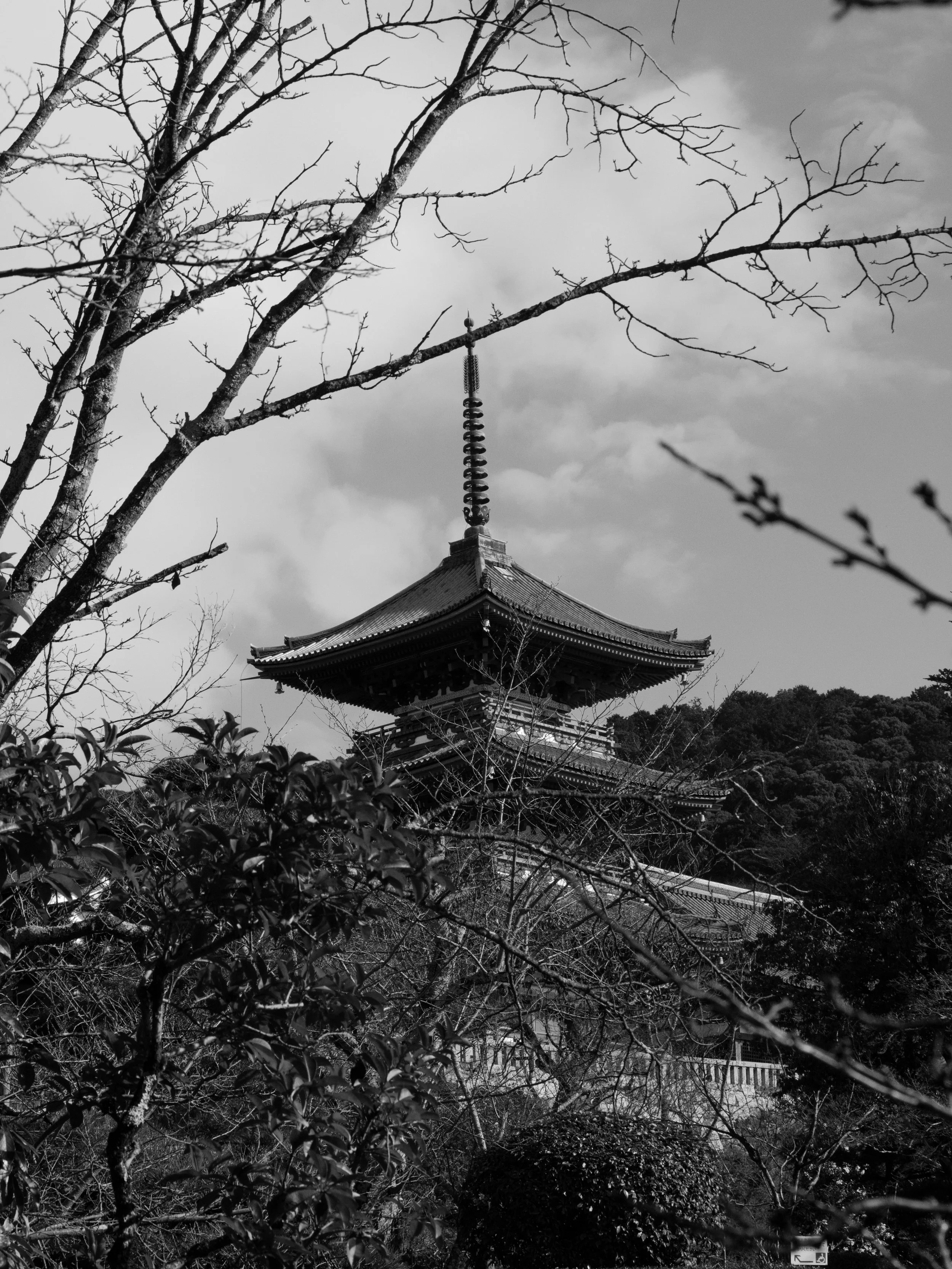 2022_Kyoto-28.jpg