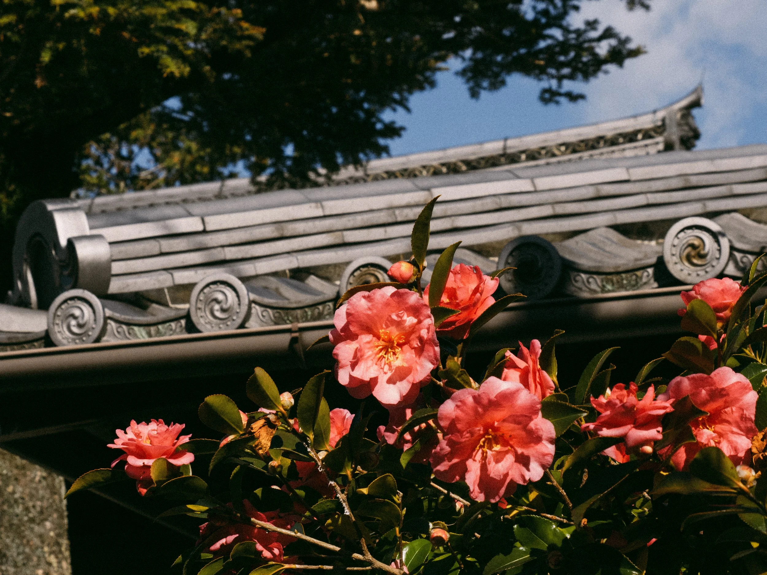 2022_Kyoto-30.jpg