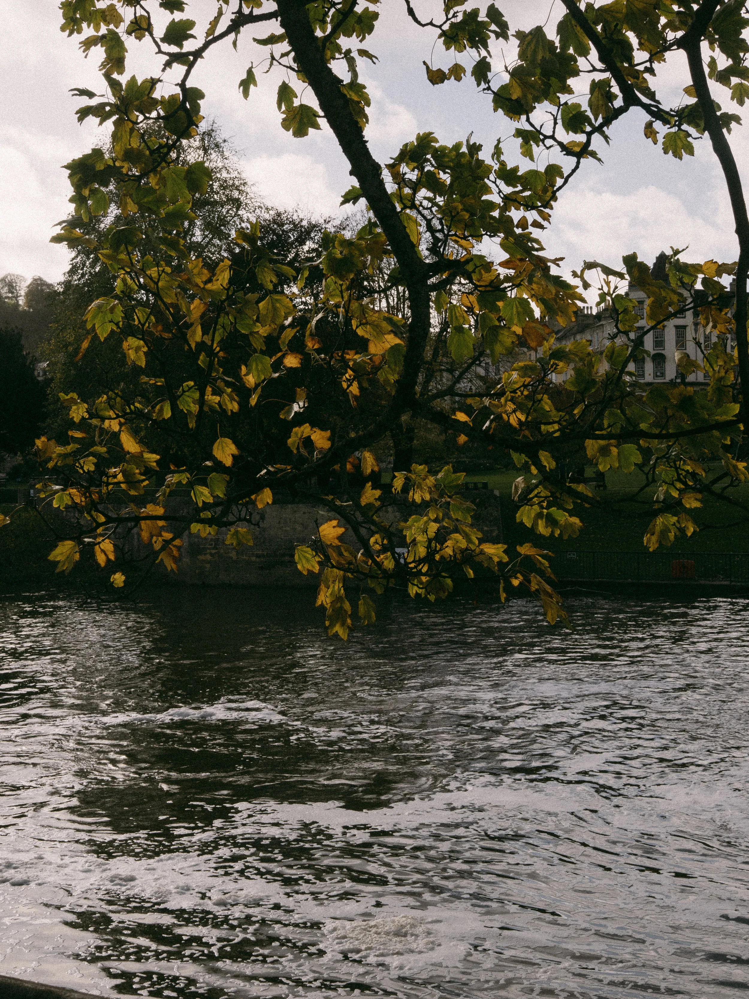 2022_Bath-21.jpg