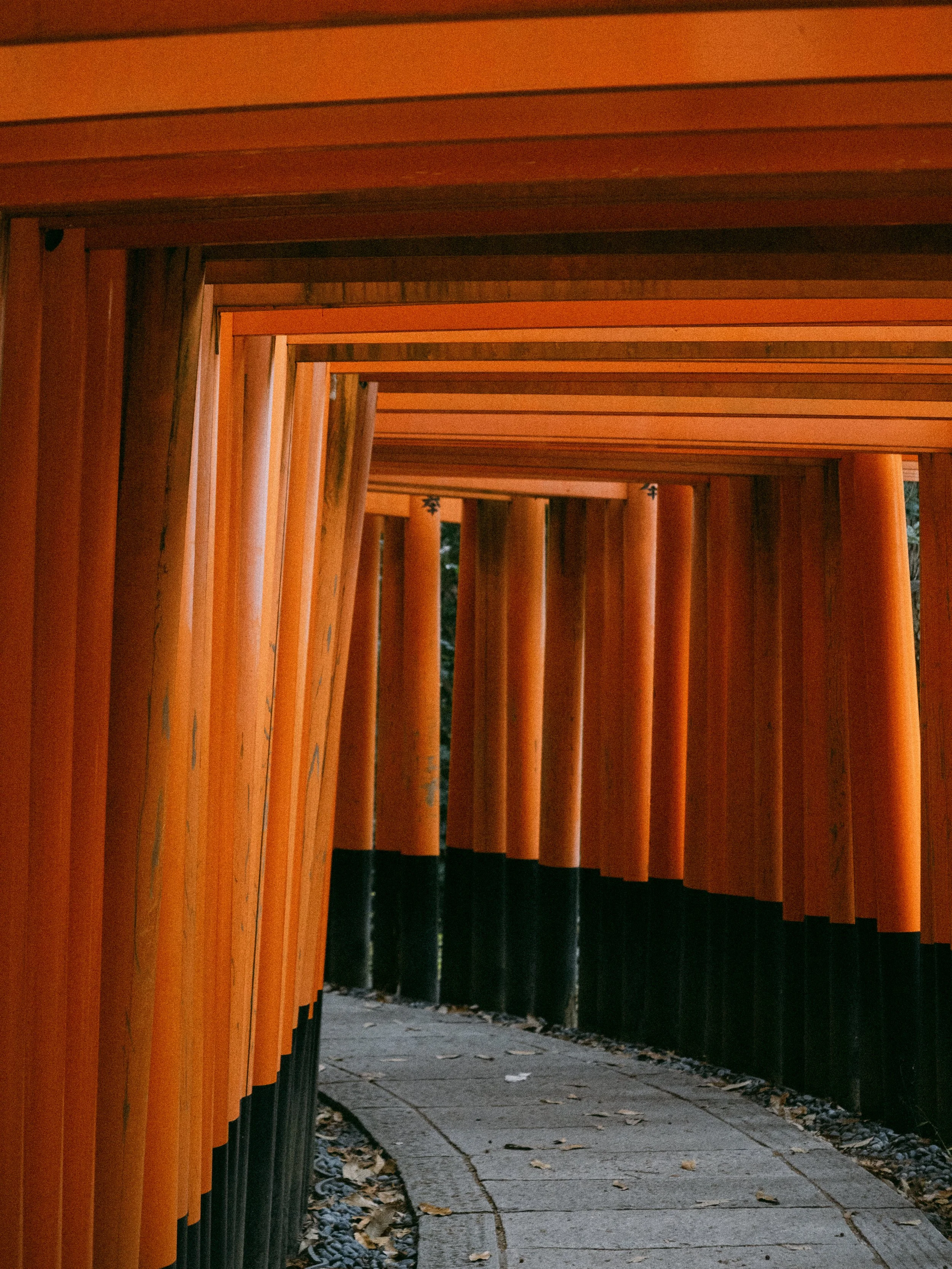 2022_Kyoto-21.jpg