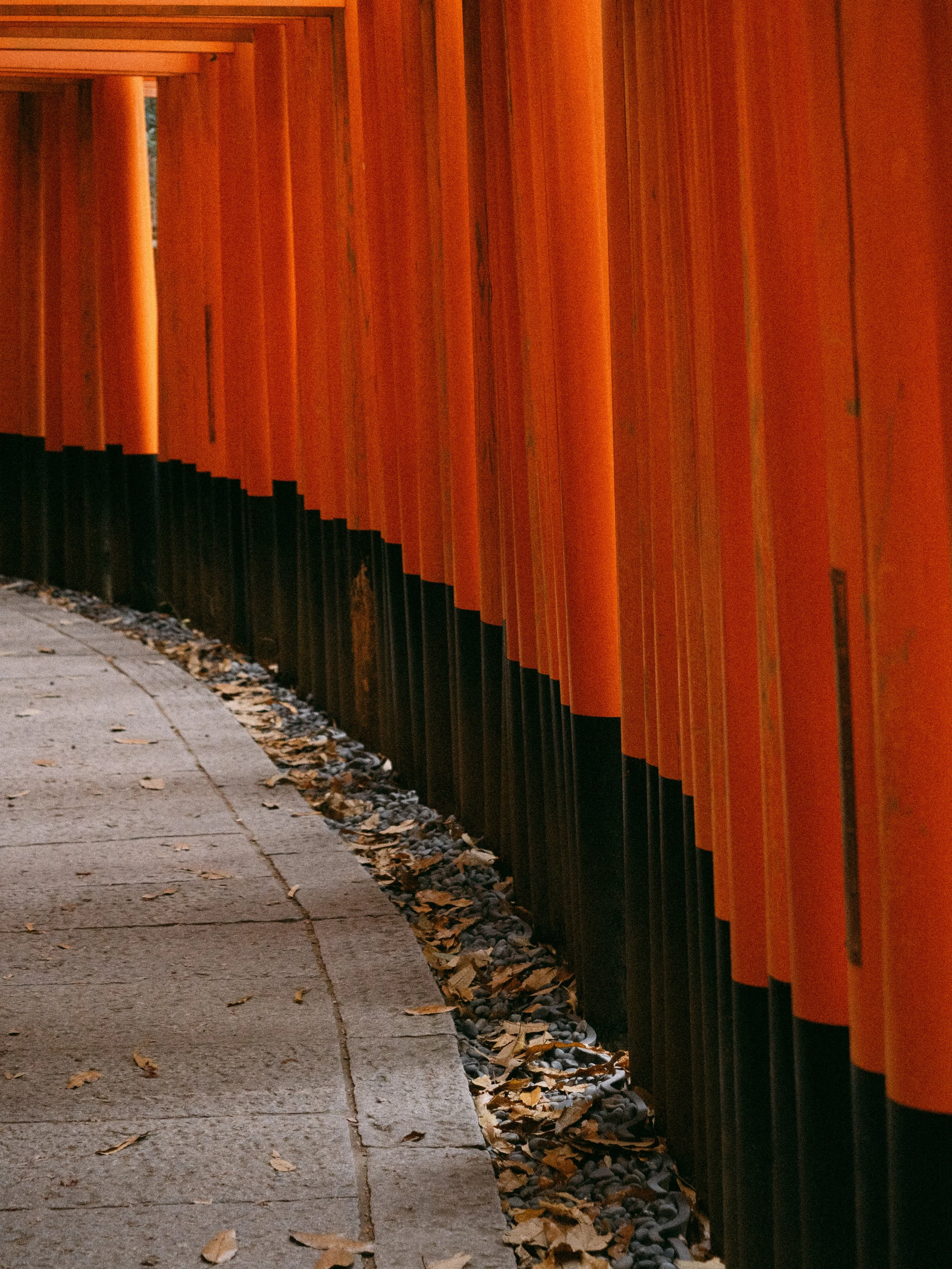 2022_Kyoto-20.jpg
