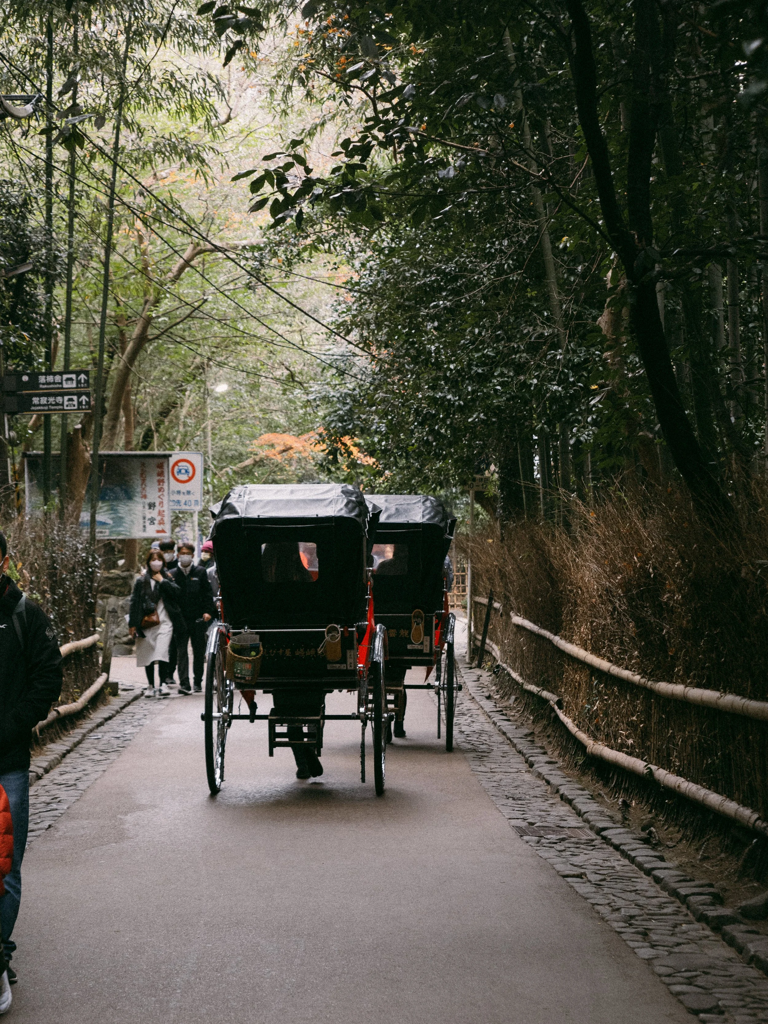 2022_Kyoto-35.jpg