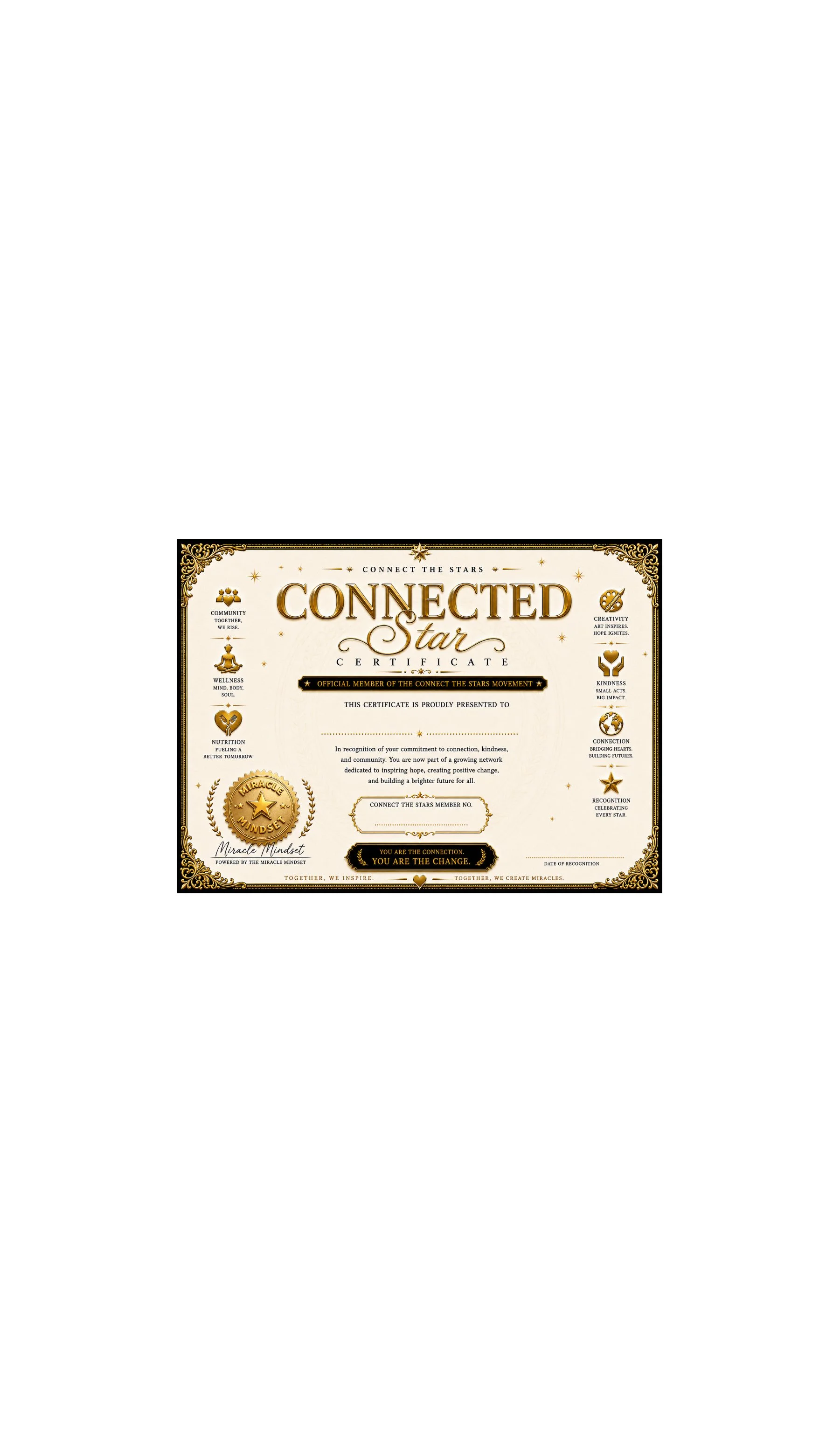 CONNECT THE STARS ⭐️ REGISTRATION CERTIFICATE