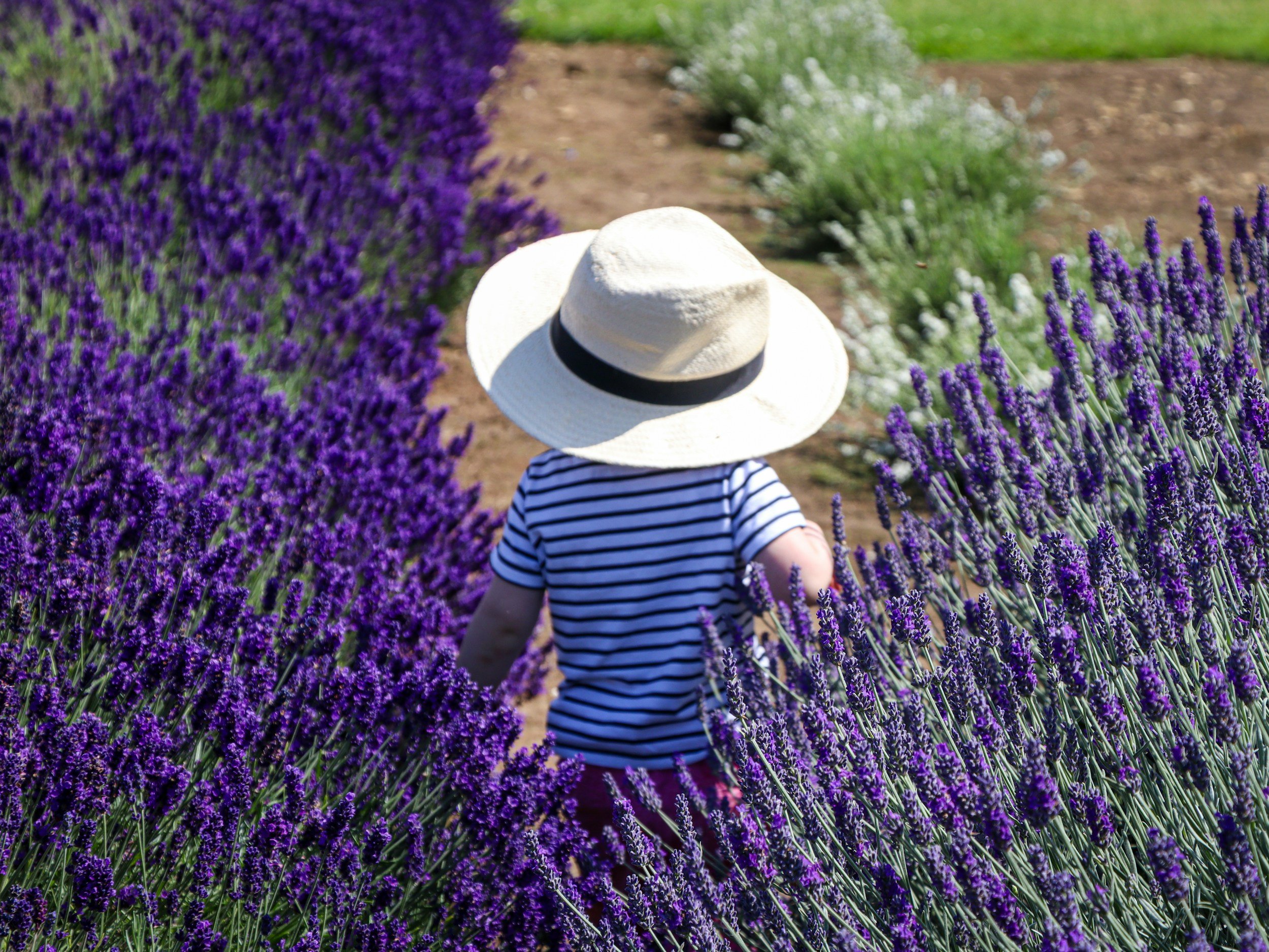 Summer, We ALL Love Summer and it is the Perfect Time to Perfect and Fine Tune All The Ideas and Habits You Birthed!