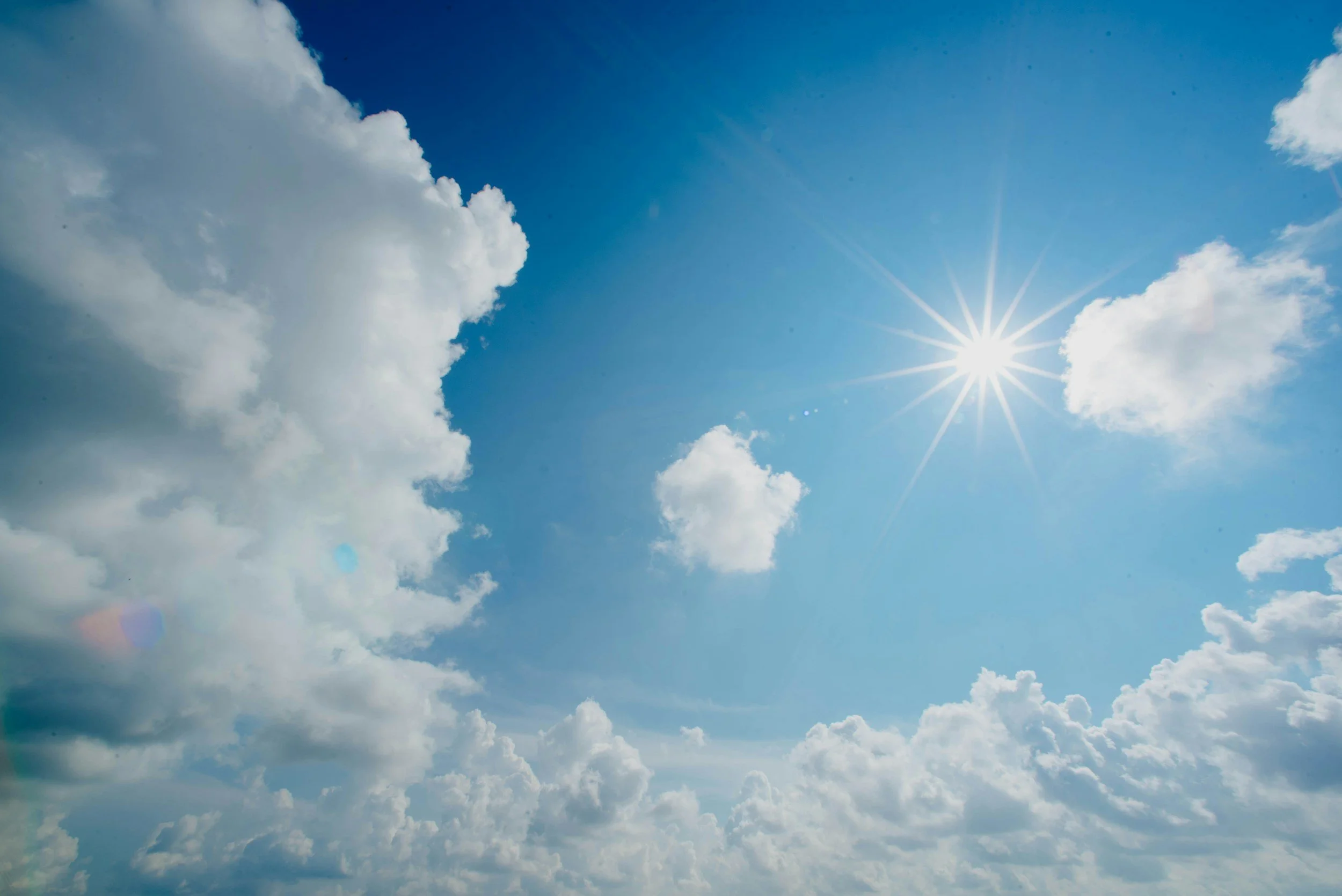 The Sun is Simply Nutrition and Up Lifting!