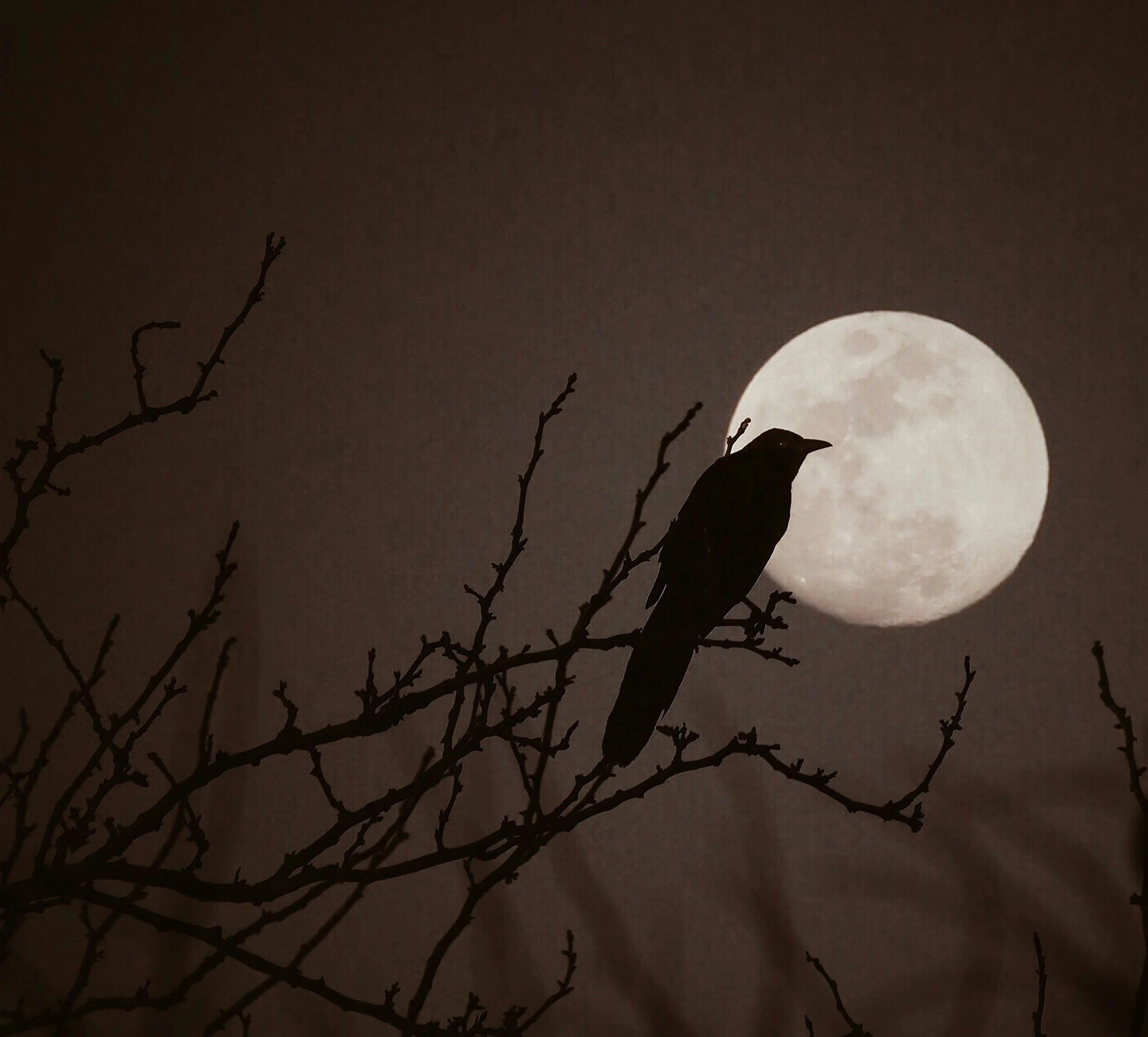The Moon Can Help You Discover Your Hidden Desires! 