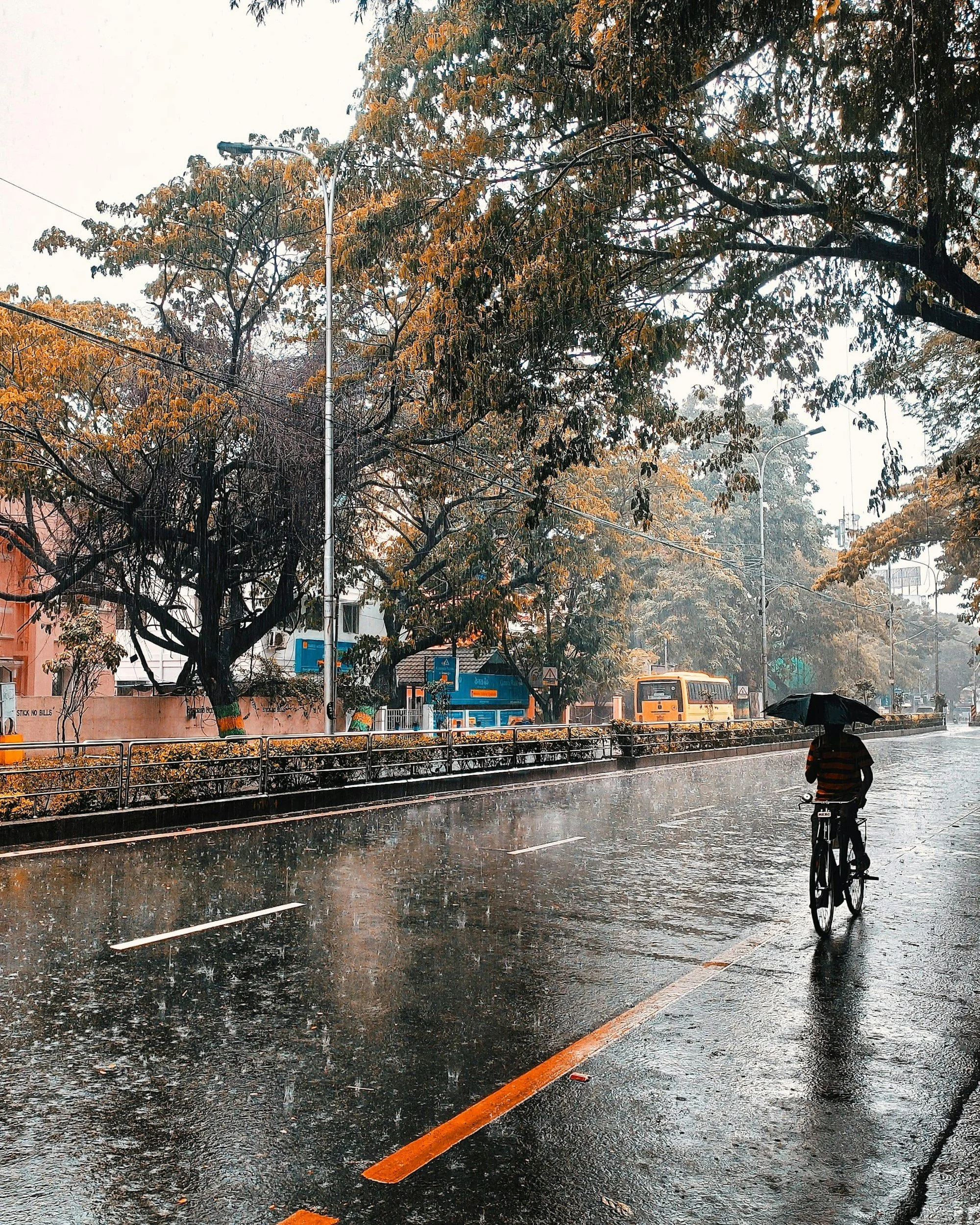 Any Physical Activity in the Rain is Cleansing and Refreshing! Also Building Resilience and Character!