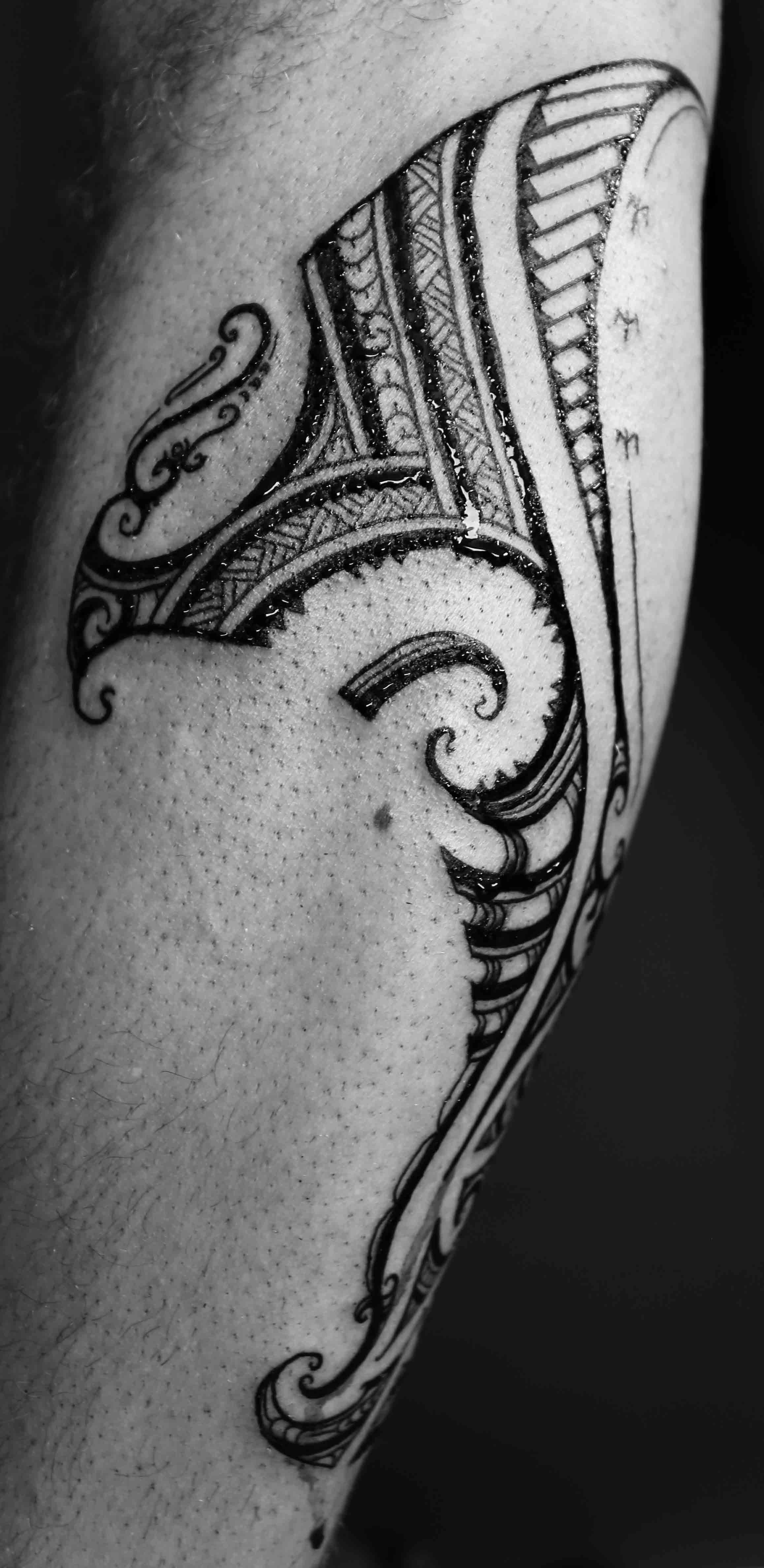 arm8.jpg