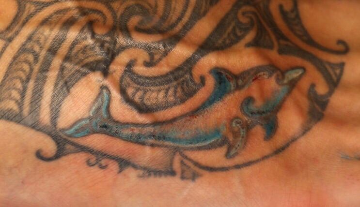 Colour touch up on existing dolphin by Paitangi.