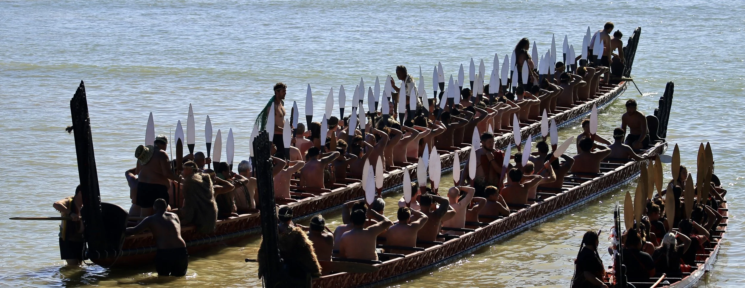 Waitangi Celebrations 2017