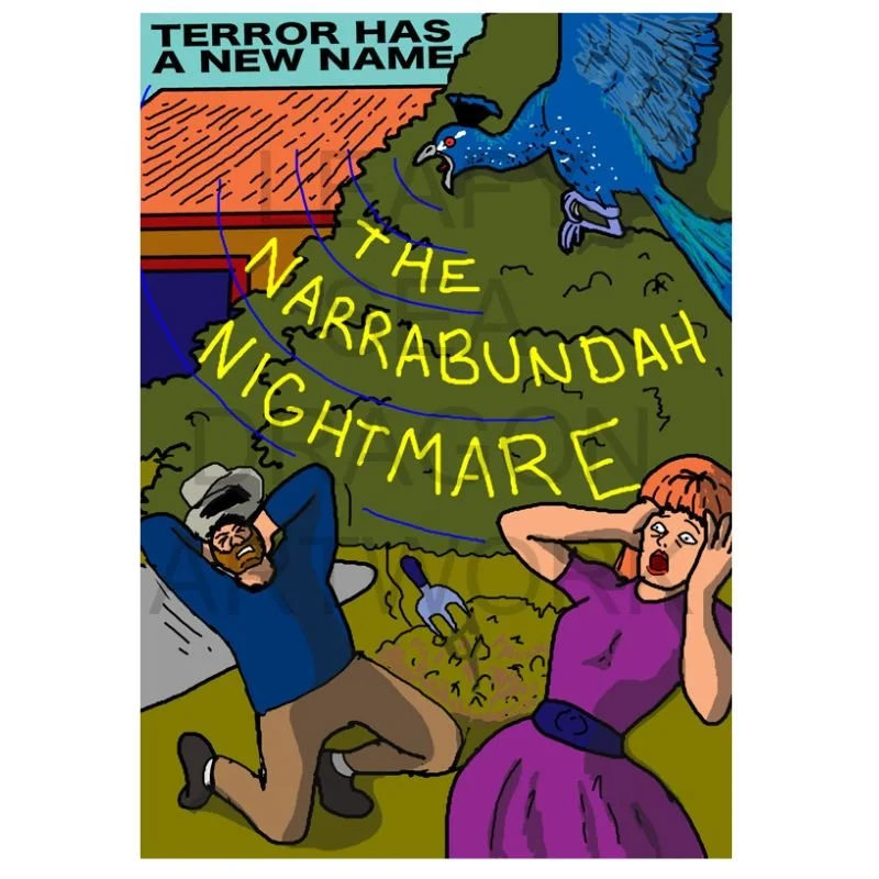 The Narabundah Nightmare