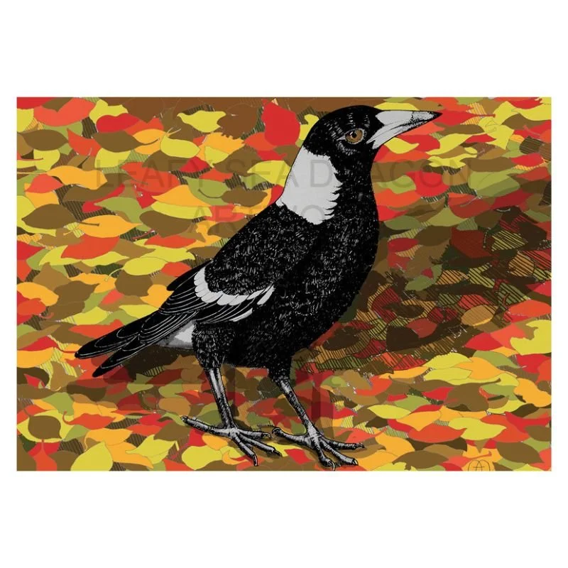 Magpie in Autumn