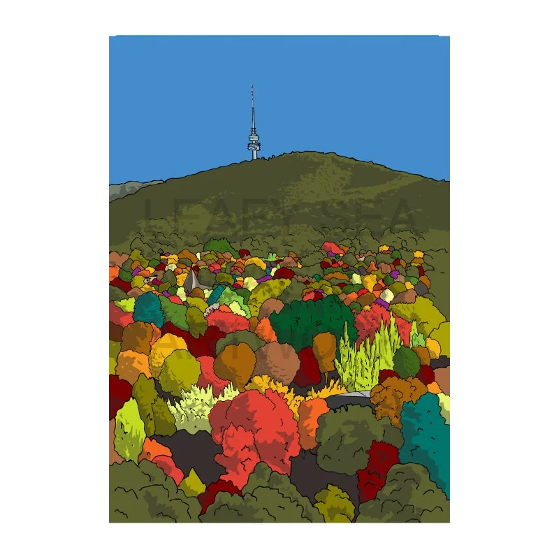 Autumnfest [Black Mountain]