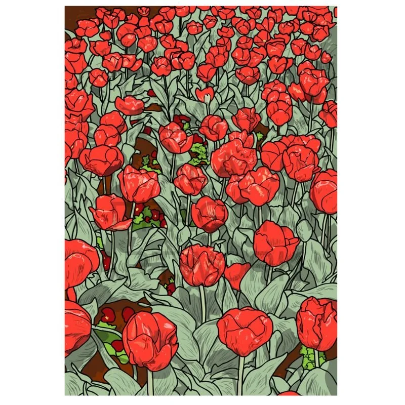 Tulips