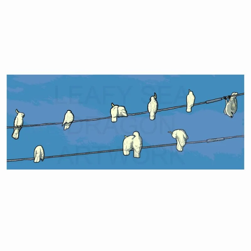 Cockatoo Assembly