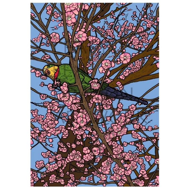 In Bloom