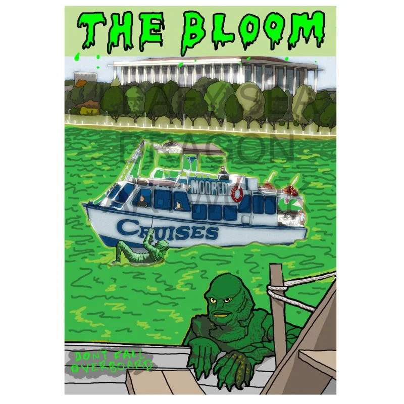 The Bloom